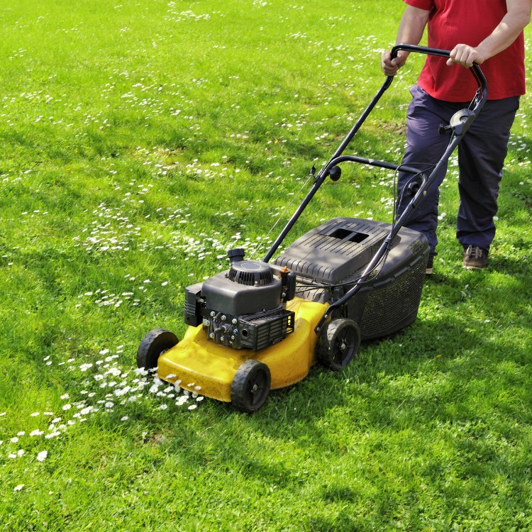 Lawn Care and Landscaping in Anoka, MN Lawn Care and Landscaping in Anoka, MN